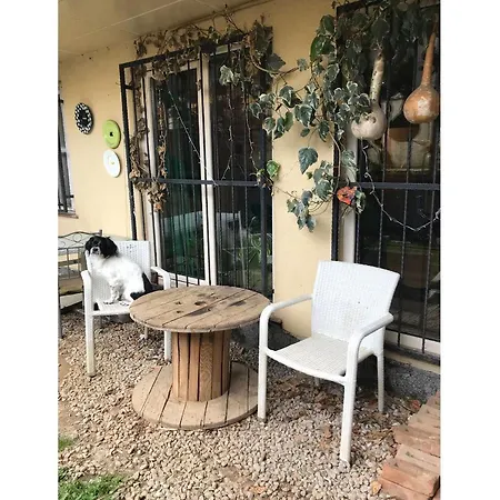 1+1 Bahce Kati Daire Apartment *