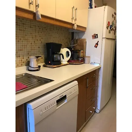 Apartment 1+1 Bahce Kati Daire